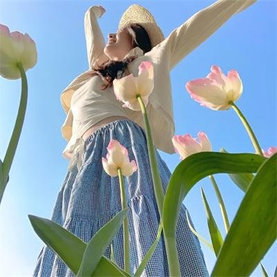 奇异人生马戏团 在线观看